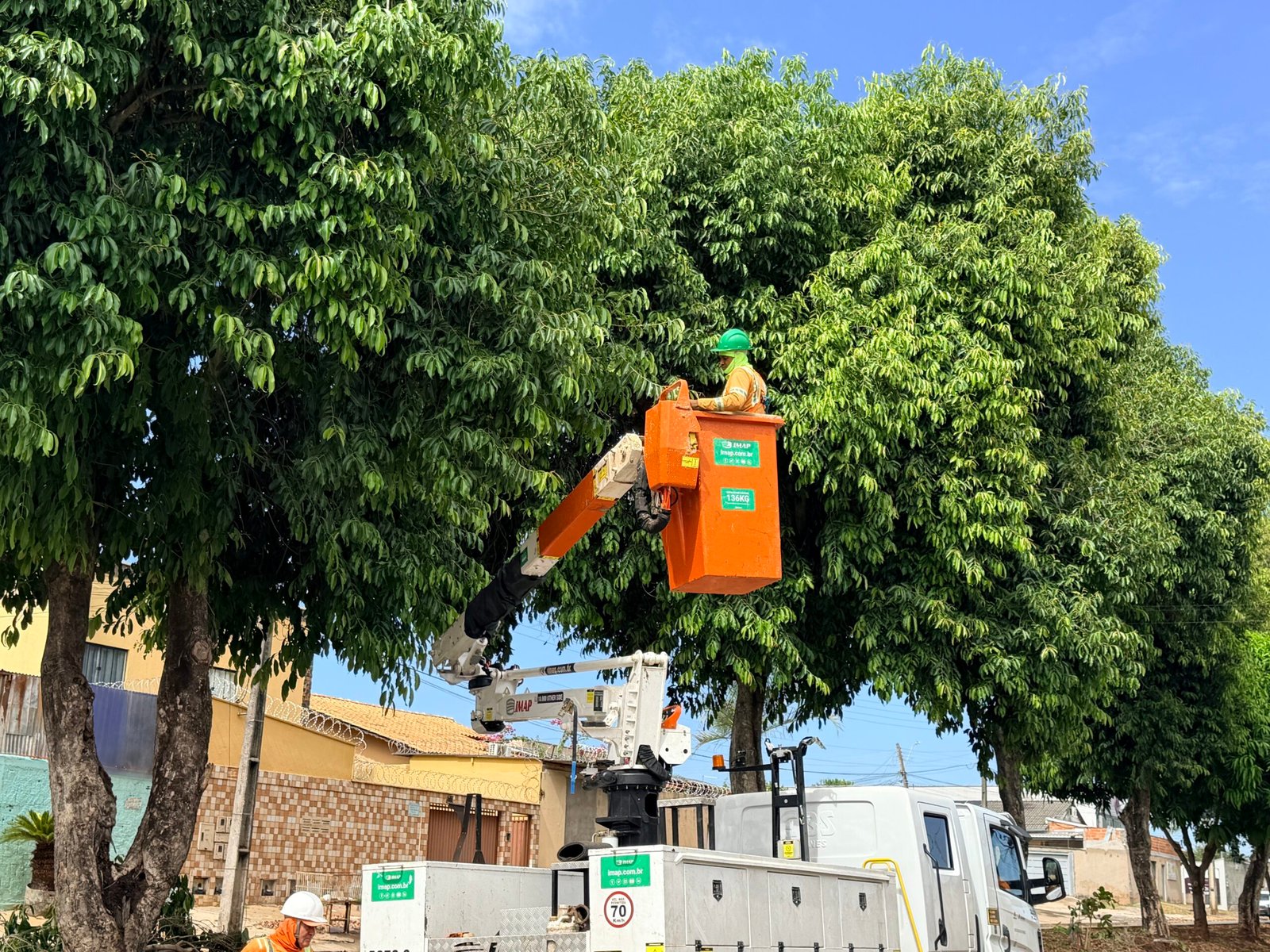 Comurg soma mais de 150 mil podas preventivas em 2026 e reduz risco de queda de árvores e acidentes com jamelões